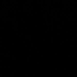 Meet your Posher, Tressa